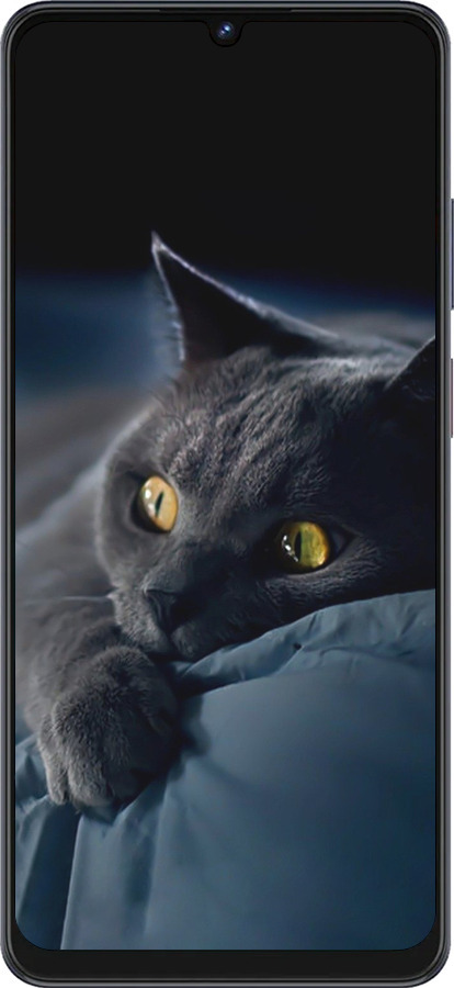 Силіконовий чехол Димчастий кіт для ZTE Blade V50 Vita - 825u-3813 изображение 