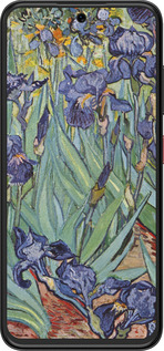 Силиконовый чехол Винсент Ван Гог. Ирисы для ZTE Nubia V70 Design - 161u-4084 изображение 