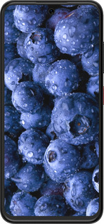 Силиконовый чехол Голубика для ZTE Nubia V70 Design - 4459u-4084 изображение 