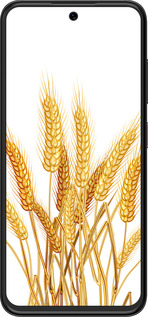 Силіконовий чехол Колоски пшениці для ZTE Nubia V70 Design - 5866u-4084 изображение 