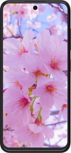 Силиконовый чехол Сакура для ZTE Nubia V70 Design - 6029u-4084 изображение 