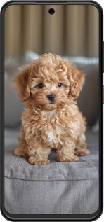 Силиконовый чехол Mini-maltipoo для ZTE Nubia V70 Design - 6158u-4084 изображение 