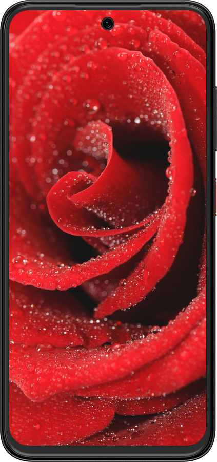 Силиконовый чехол Красная роза для ZTE Nubia V70 Design - 529u-4084 изображение 