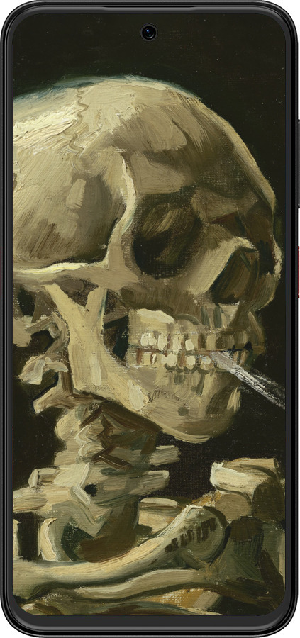 Силіконовий чехол Вінсент Ван Гог. Череп для ZTE Nubia V70 Design - 5544u-4084 изображение 