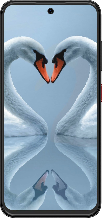 Силіконовий чехол Лебеді для ZTE Nubia V70 Design - 6007u-4084 изображение 