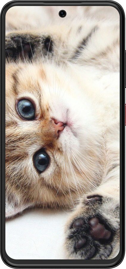 Силиконовый чехол Котик для ZTE Nubia V70 Design - 6024u-4084 изображение 