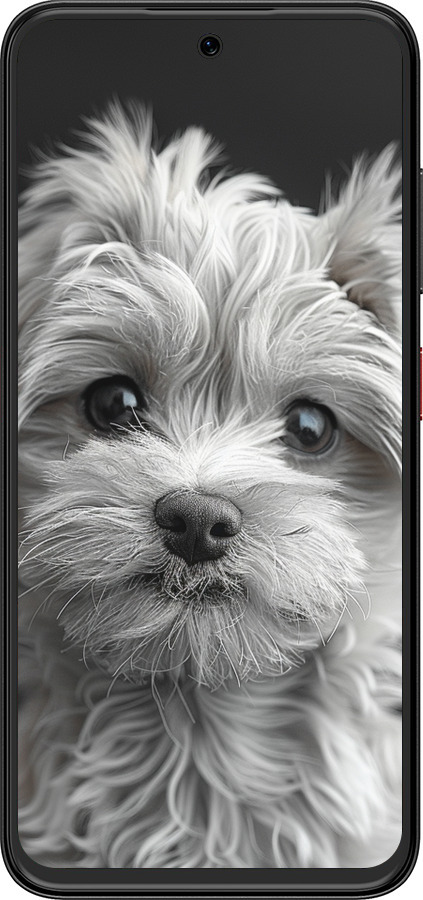 Силиконовый чехол Мальтипу на чорном фоне для ZTE Nubia V70 Design - 6156u-4084 изображение 