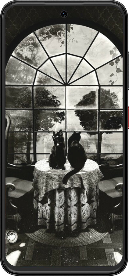 Силиконовый чехол Череп и коты для ZTE Nubia V70 Design - 6432u-4084 изображение 