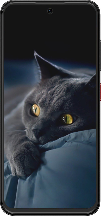 Силиконовый чехол Дымчатый кот для ZTE Nubia V70 Design - 825u-4084 изображение 