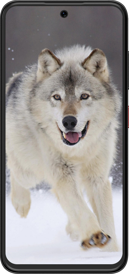 Силіконовий чехол Вовк, що біжить для ZTE Nubia V70 Design - 826u-4084 изображение 