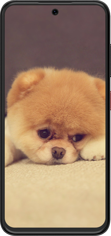 Силіконовий чехол Boo 2 для ZTE Nubia V70 Design - 890u-4084 изображение 