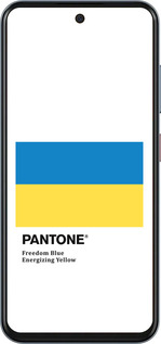 Силиконовый чехол Прапор Пантон для ZTE Nubia V70 - 5275u-4083 изображение 