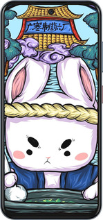 Силиконовый чехол № 5342 для ZTE Nubia V70 - 5342u-4083 изображение 