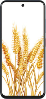 Силиконовый чехол Колоски пшеници для ZTE Nubia V70 - 5866u-4083 изображение 