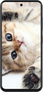 Силиконовый чехол Котик для ZTE Nubia V70 - 6024u-4083 изображение 