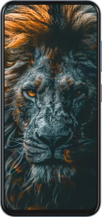 Силиконовый чехол Лев в сумерках для ZTE Nubia V70 - 6154u-4083 изображение 