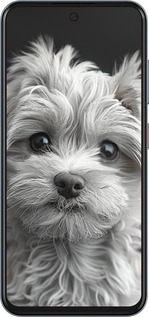 Силиконовый чехол Мальтипу на чорном фоне для ZTE Nubia V70 - 6156u-4083 изображение 