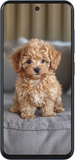 Силіконовий чехол Mini-maltipoo для ZTE Nubia V70 - 6158u-4083 изображение 