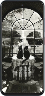 Силіконовий чехол Череп та коти для ZTE Nubia V70 - 6432u-4083 изображение 