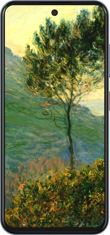 Силиконовый чехол Клод Моне для ZTE Nubia V70 - 1193u-4083 изображение 