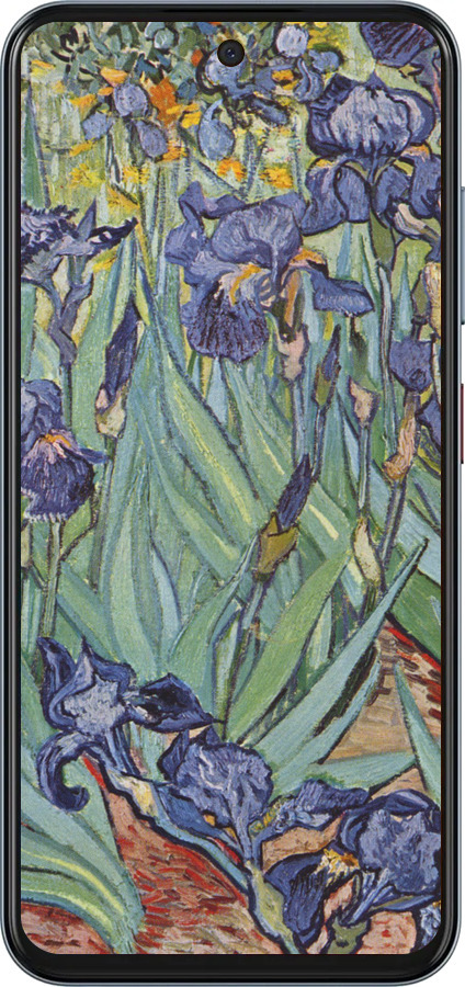 Силиконовый чехол Винсент Ван Гог. Ирисы для ZTE Nubia V70 - 161u-4083 изображение 