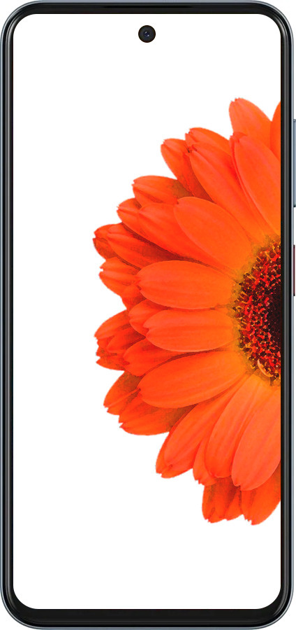 Силиконовый чехол Гербера 1 для ZTE Nubia V70 - 4534u-4083 изображение 