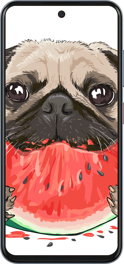 Силиконовый чехол Мопс и арбуз для ZTE Nubia V70 - 4665u-4083 изображение 