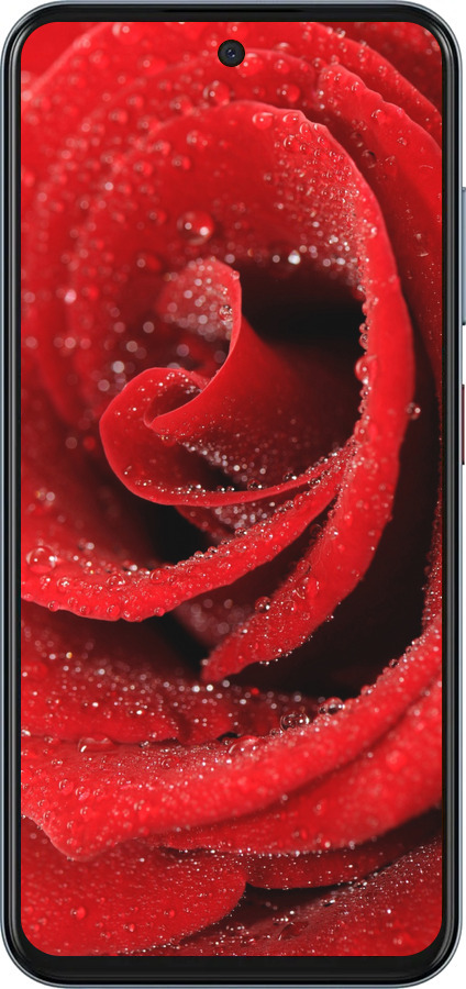 Силіконовий чехол Червона троянда для ZTE Nubia V70 - 529u-4083 изображение 