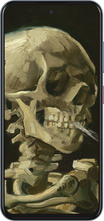 Силиконовый чехол Винсент Ван Гог. Череп для ZTE Nubia V70 - 5544u-4083 изображение 