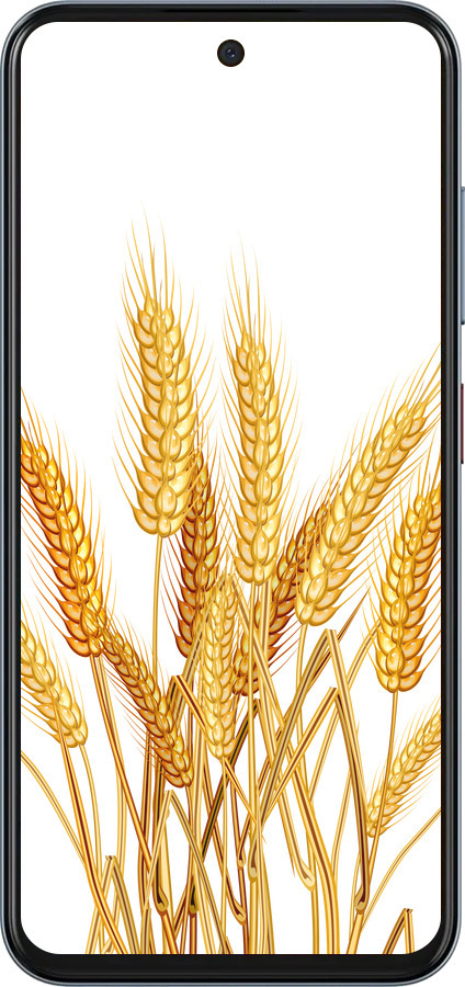 Силиконовый чехол Колоски пшеници для ZTE Nubia V70 - 5866u-4083 изображение 