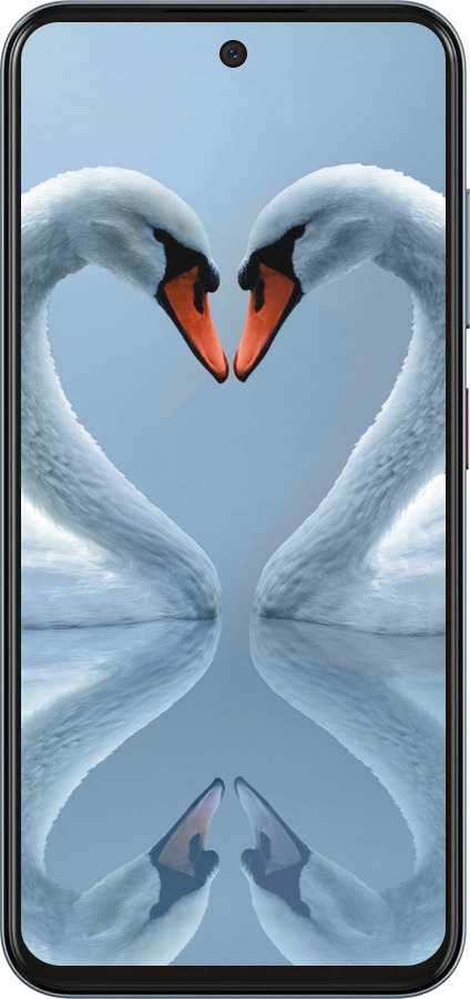 Силіконовий чехол Лебеді для ZTE Nubia V70 - 6007u-4083 изображение 