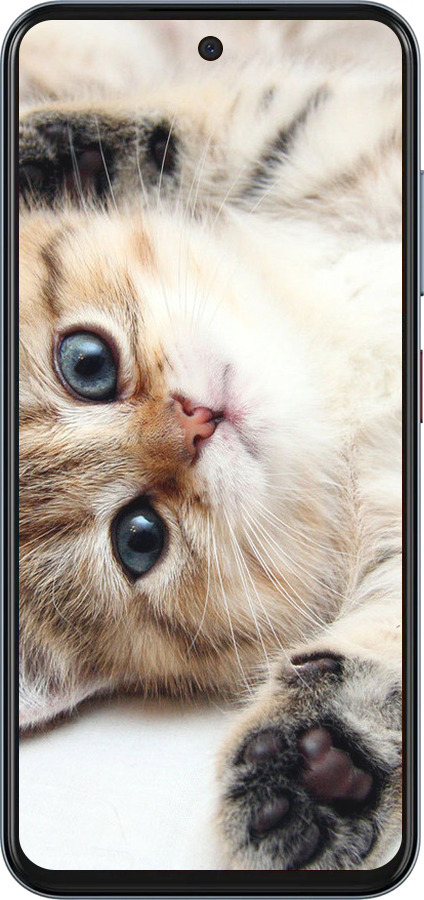 Силиконовый чехол Котик для ZTE Nubia V70 - 6024u-4083 изображение 