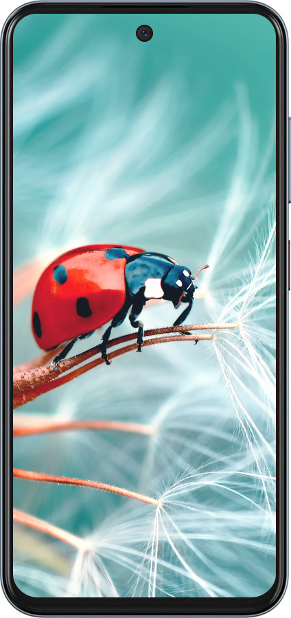 Силиконовый чехол Божья коровка для ZTE Nubia V70 - 6049u-4083 изображение 