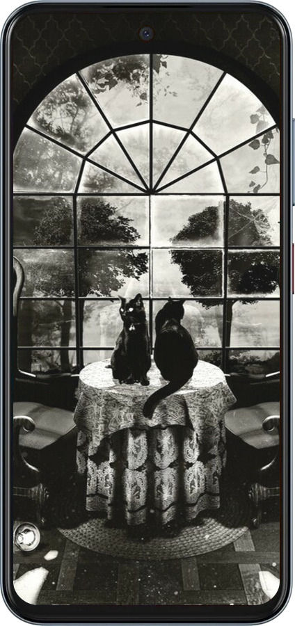 Силіконовий чехол Череп та коти для ZTE Nubia V70 - 6432u-4083 изображение 